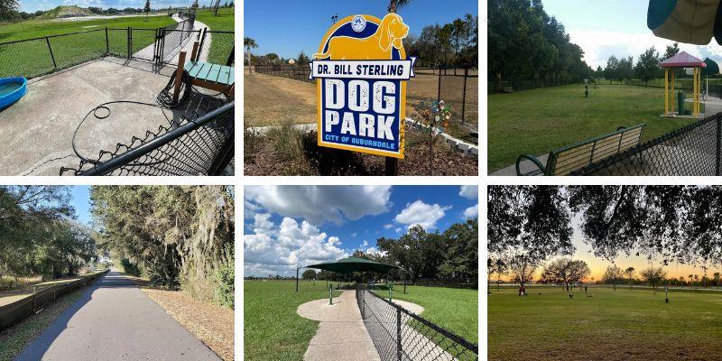 Best Dog Parks Polk County Auburndale Dog Park